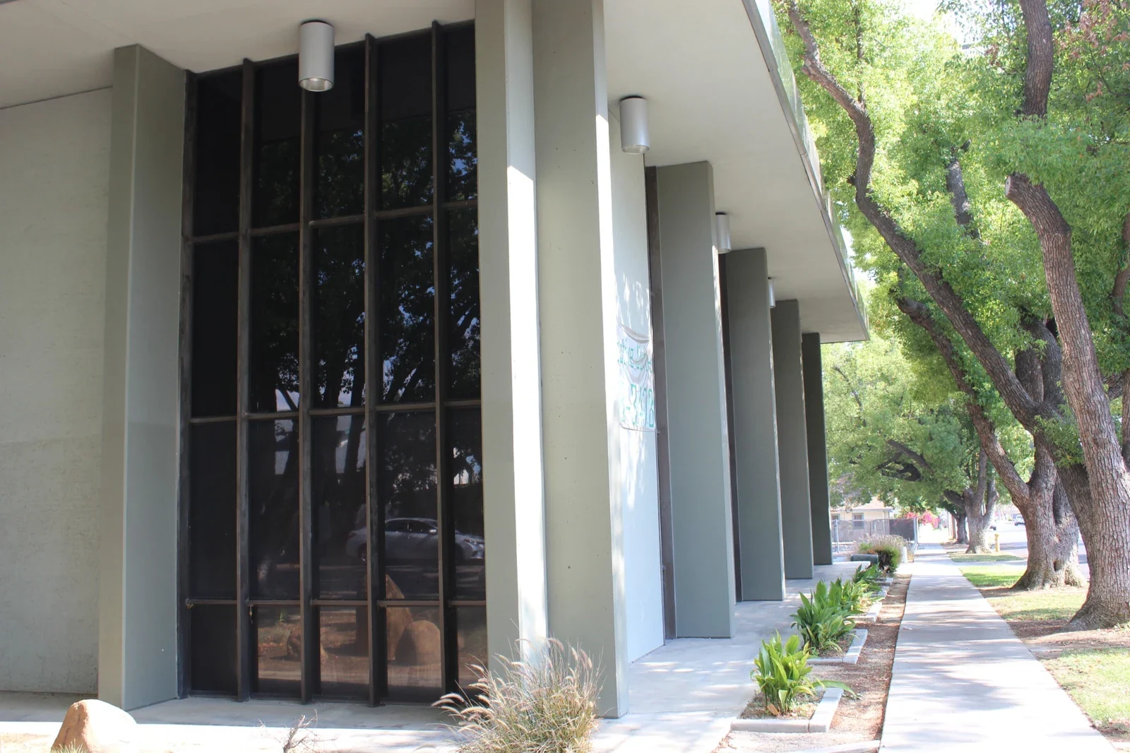 Tall glass facade beside a tree-lined sidewalk.